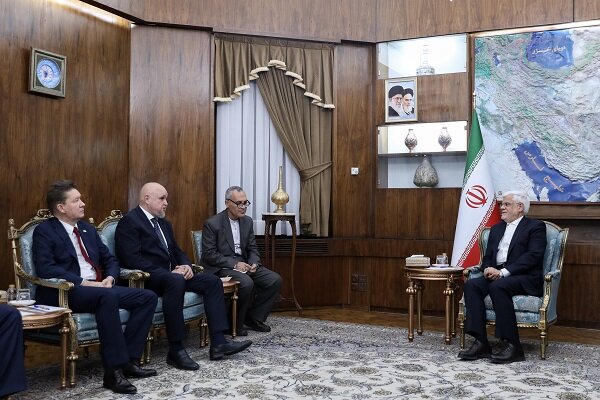 تأکید دولتمردان روسیه بر توسعه همکاری با ایران در دیدار با
عارف