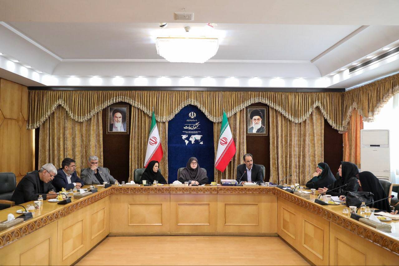 دیدار مهاجرانی با اعضای کمیسیون زنان جامعه خیرین مدرسه
ساز