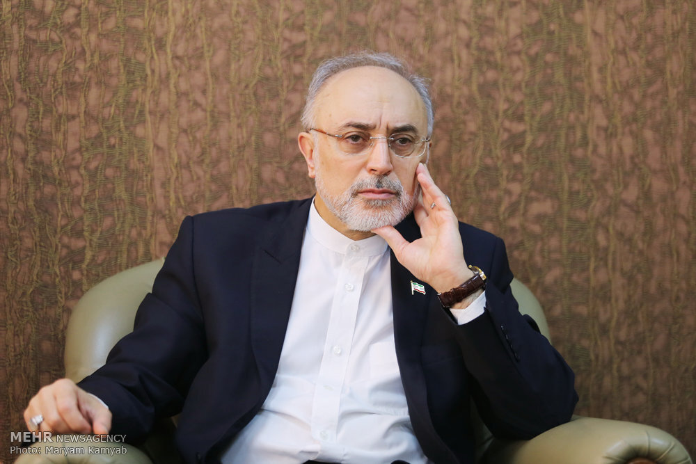 صالحی: نامه اخیر آمریکا به ایران مغشوش است