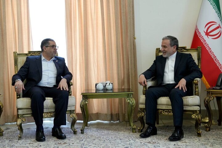 عراقچی بر تداوم حمایت‌های ایران از مقاومت و ملت فلسطین تاکید
کرد