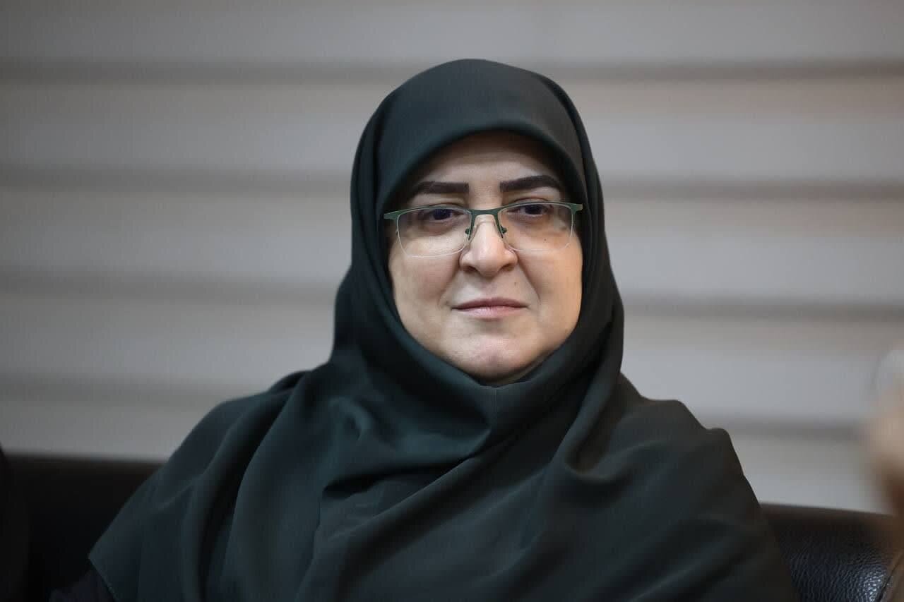 مهاجرانی: دولت متعهد به محافظت از داده‌های شخصی مردم
است