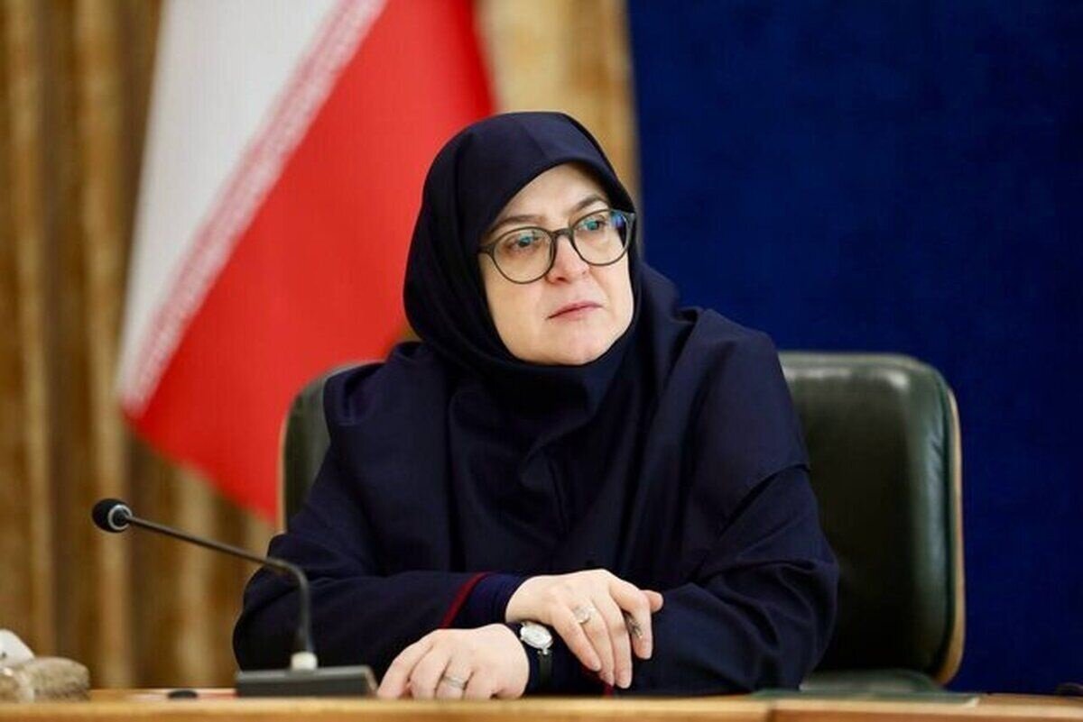 مهاجرانی: عدالت شغلی، راهبرد دولت برای توسعه متوازن
است