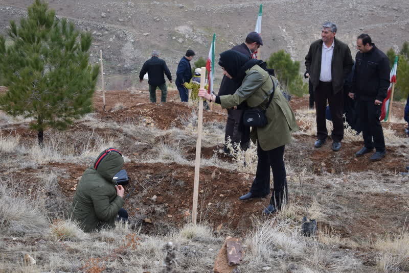 آغاز پویش درختکاری «به نام پدر» در ۱۷ شهرستان کرمانشاه + فیلم