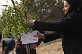 ۴۰۰ نهال به جنگل‌کاری‌های سوهانک اضافه شد