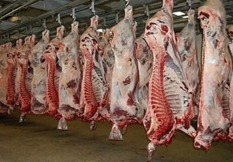 گوشت‌های آلوده در حاشیه شهر؛ زنگ خطر سلامت در کرمانشاه!