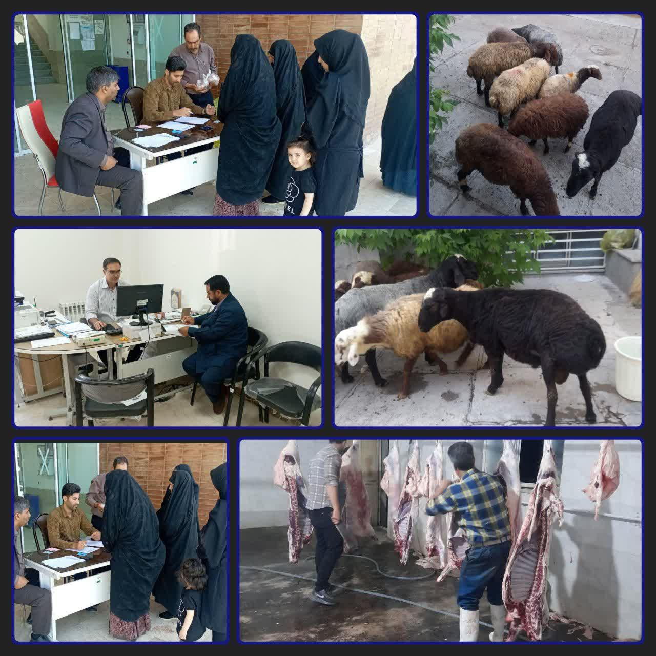 رئیس کمیته امداد سنقروکلیایی اعلام کرد؛  توزیع یک میلیارد و ۸۰۰ میلیون ریال گوشت قربانی بین مددجویان کمیته امداد سنقروکلیایی‌