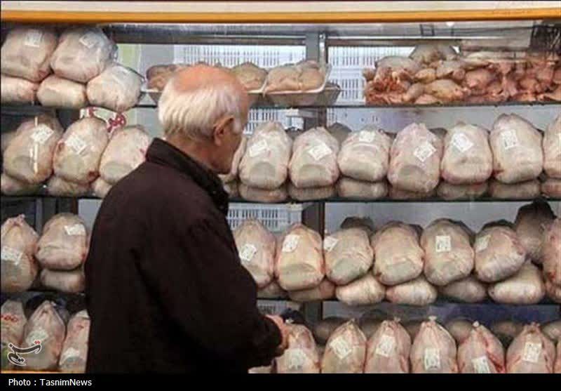 کاهش مستمر قیمت مرغ در کرمانشاه؛ موانع تولید برطرف شد