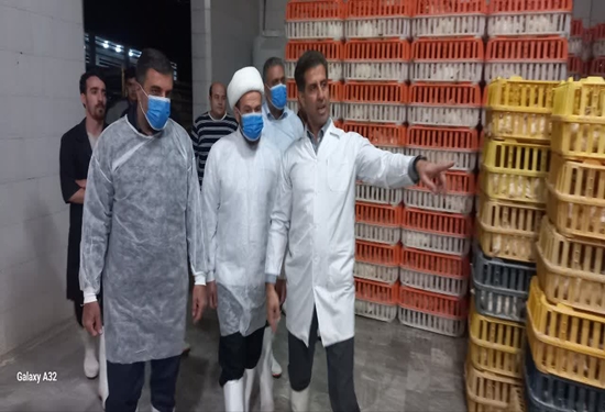 بازدید شبانه از کشتارگاه طیور شهرستان سنقر و کلیایی