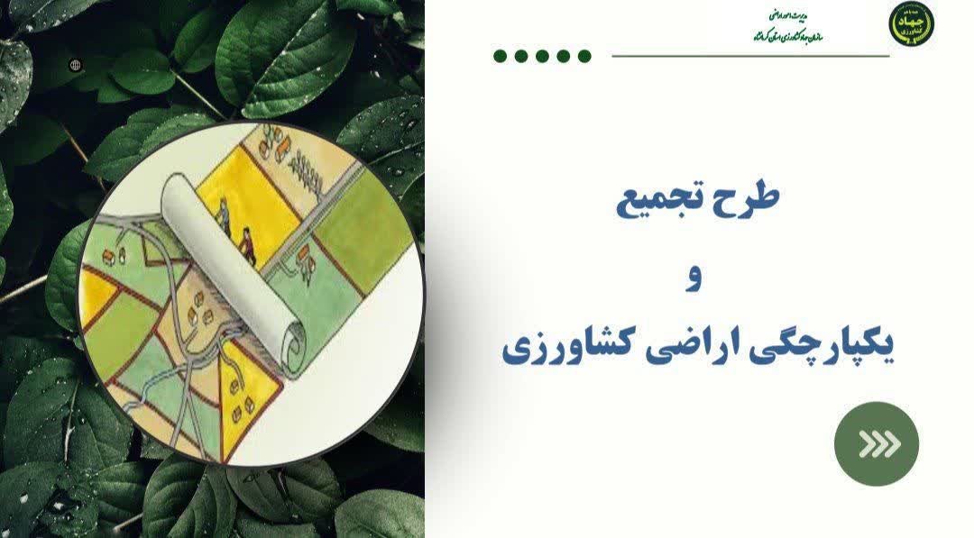 یکپارچه سازی  ۵۰۰ هکتار از اراضـــــی استان نقطه قوتی در جهت خودکفایی در تولید و ثبات امنیت غذایی است