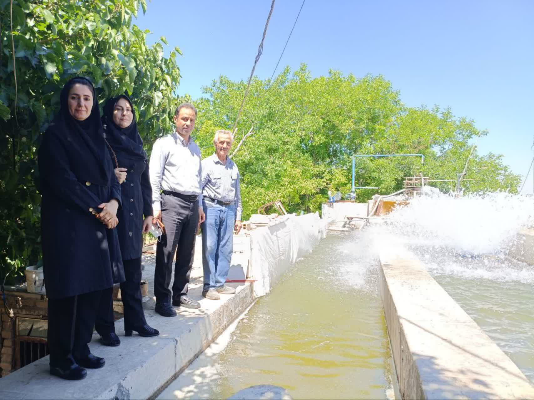 بازدید میدانی از مزارع پرورش ماهی شهرستان سنقروکلیایی