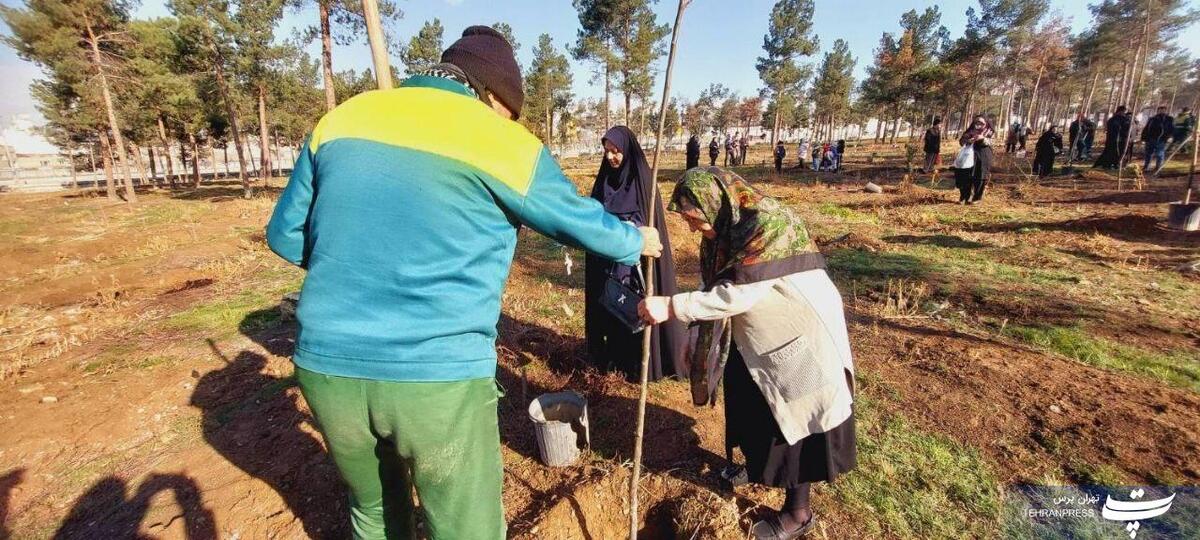 پلاک‌گذاری ۱۲۰ نهال به نام بانوان نام‌آور