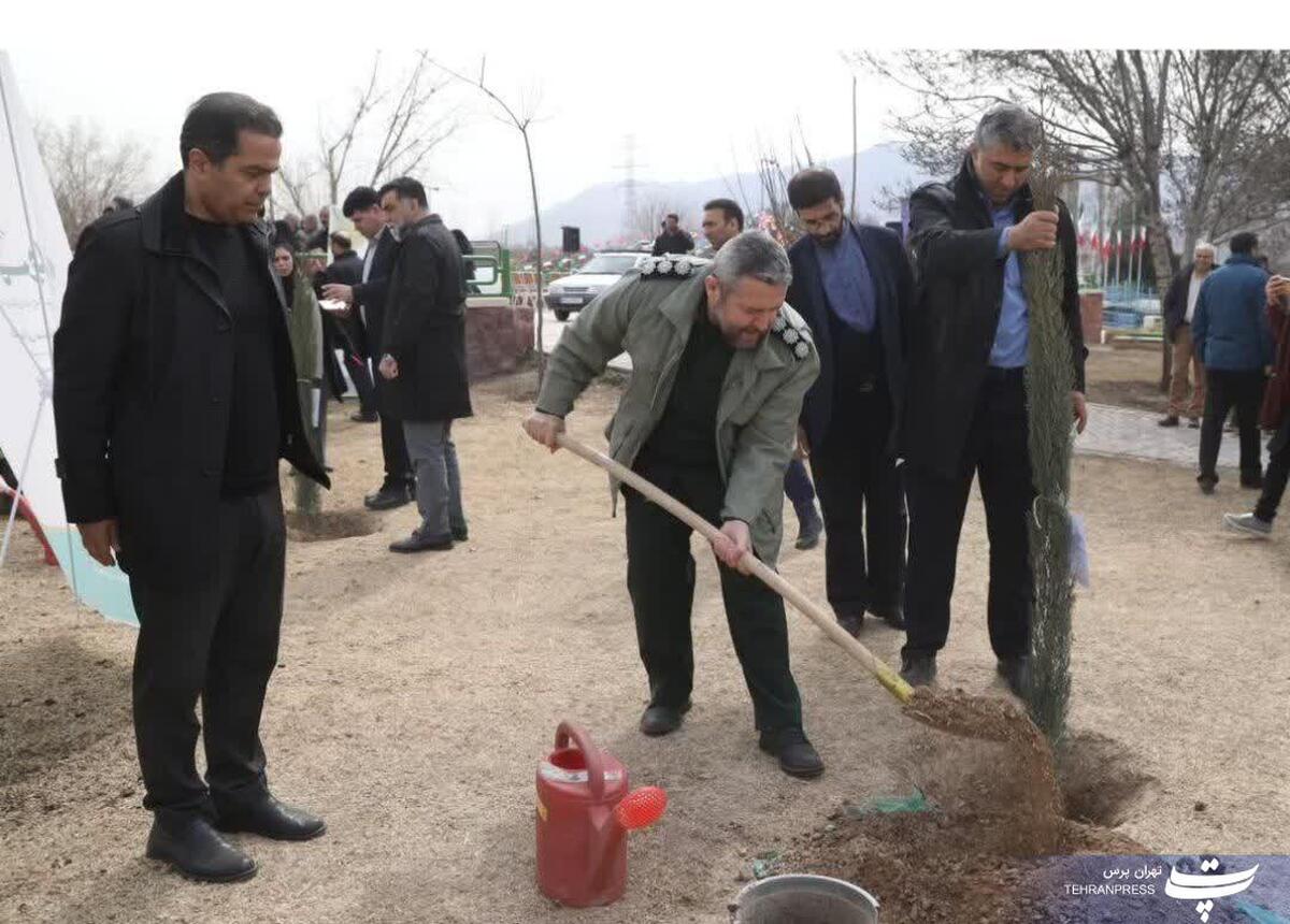 کاشت درخت در بوستان آزادگان