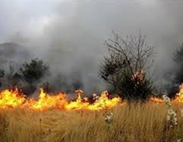 احتمال  وقوع آتش سوزی در مراتع  به دلیل غنی شدن پوشش گیاهی منطقه