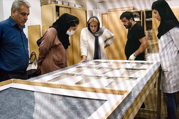 بیانیه موزه هنرهای معاصر تهران درباره مشاهده حشرات در آثار گنجینه