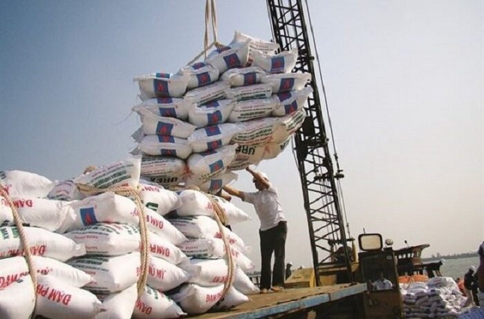 خسارات باران به برنج های وارداتی ربطی به گمرک ندارد
