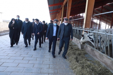 استاندار قزوین از یک مجتمع تولید گوشت در آبیک بازدید کرد